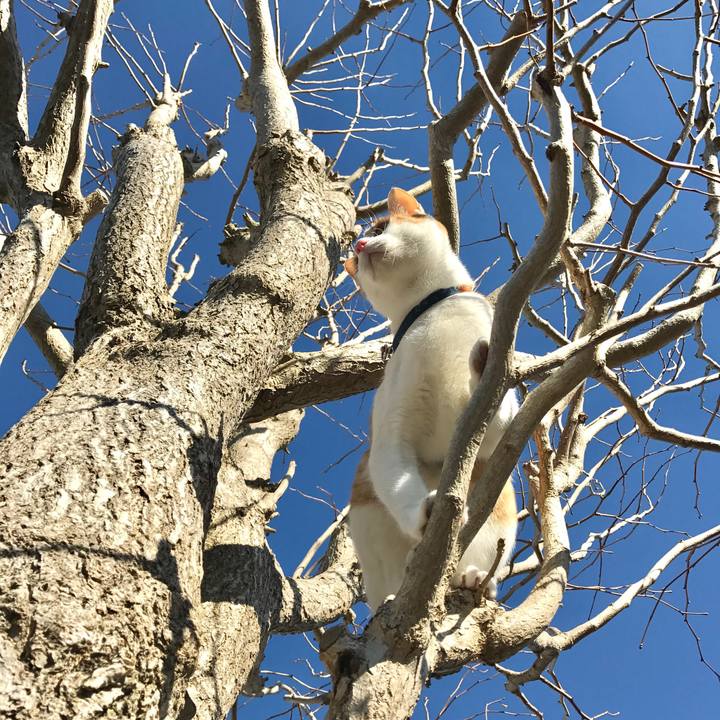 0586b96d f177 437a abfb 46e0f3bd2405