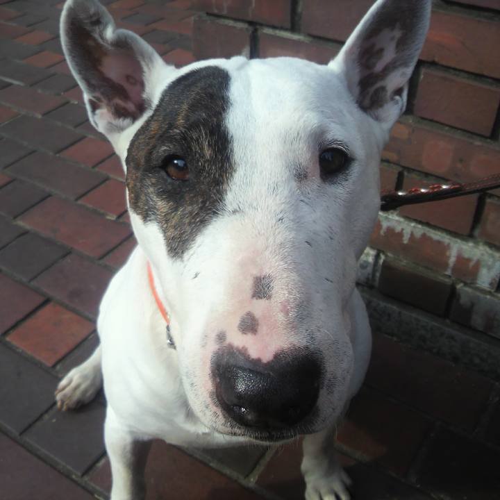 0586c2e6 c4f2 468c 9166 abf2d4fb4107