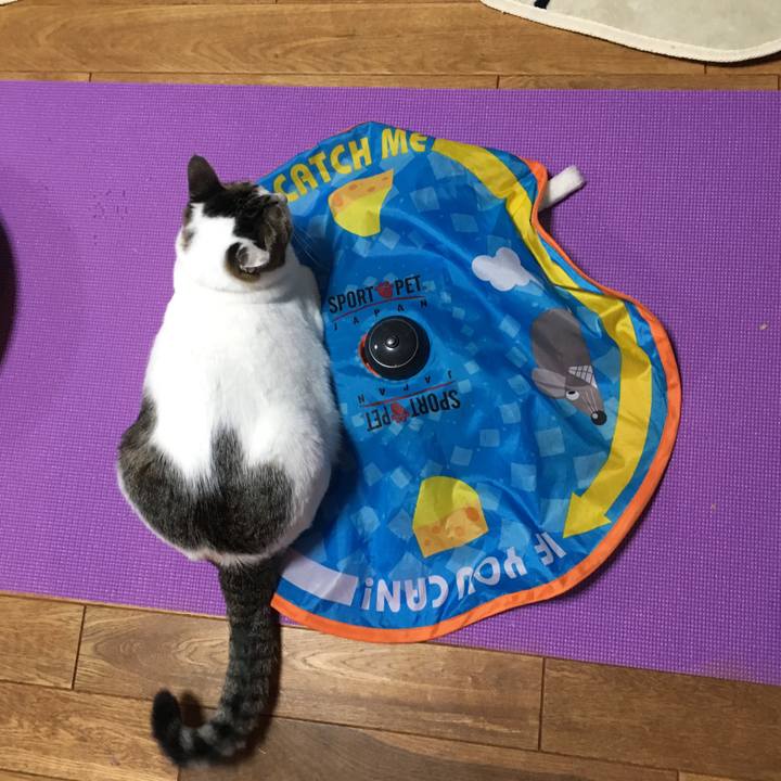 0589d34c badd 48b5 8869 204d4b19de31