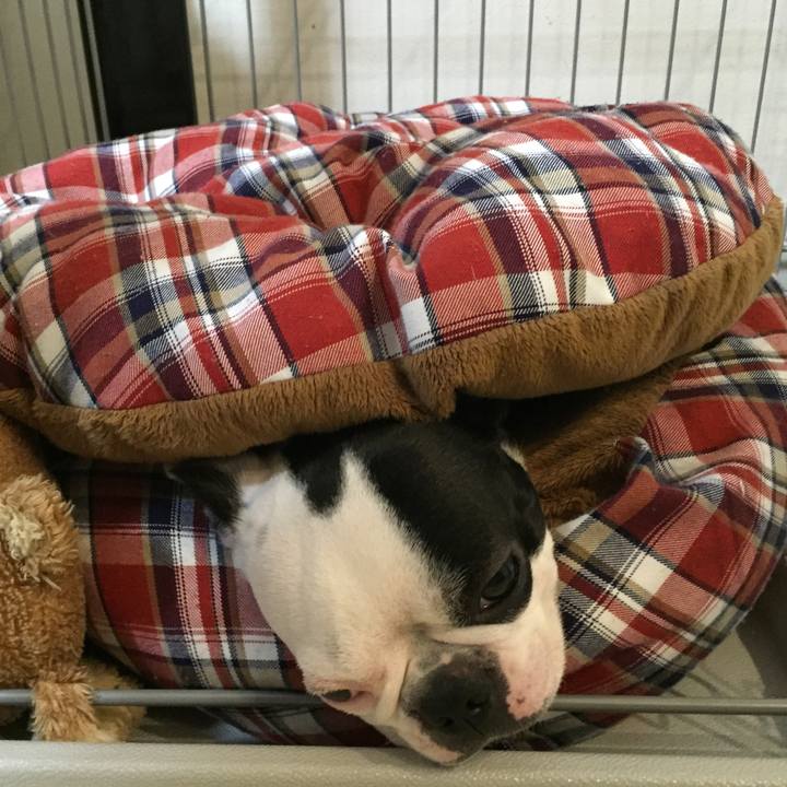 058a6b11 b86f 4d62 880a bd14cd677dc6