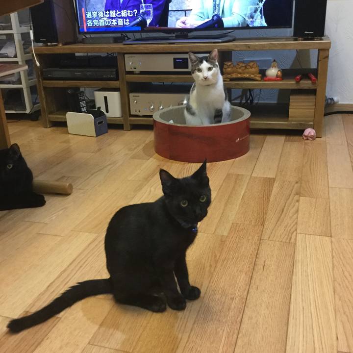 058aa1d5 c1fc 42a9 8cb1 44c4d2cec4cc