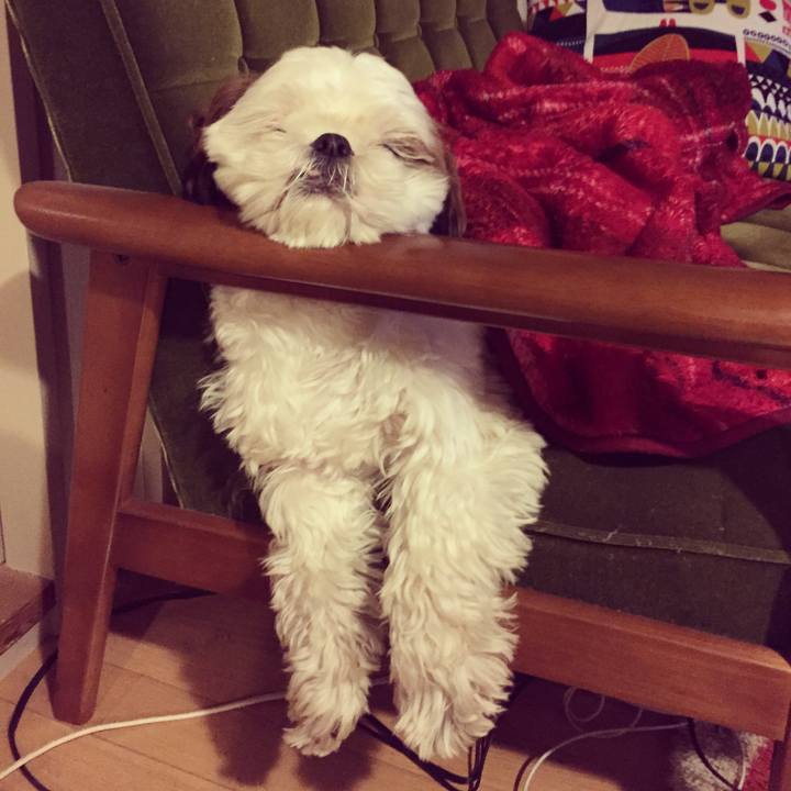 058aa53f 64ef 4c48 a543 ed4754f3b5dc