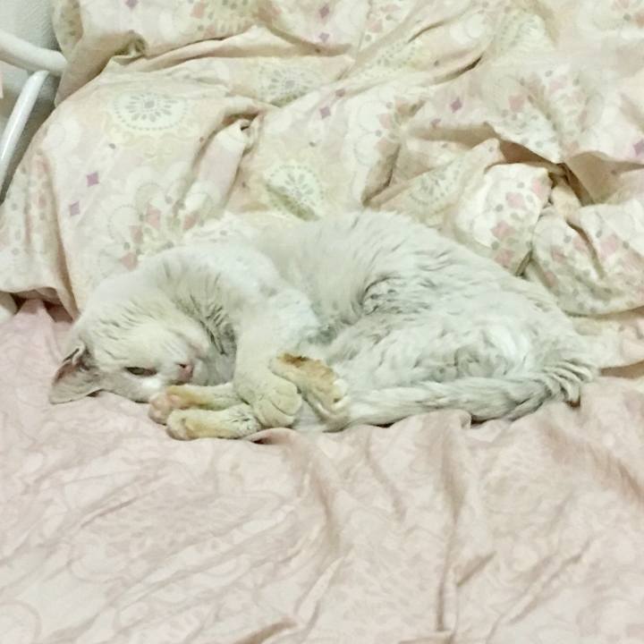 058ad565 a1f2 41cc bbe4 63a99b6572d5