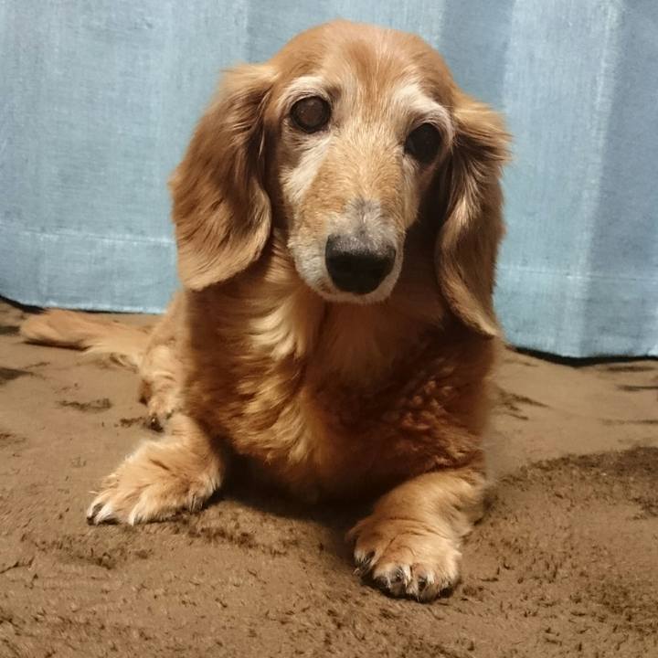 058b35dd 9004 4e1f 9f12 e0c7dab92cb6