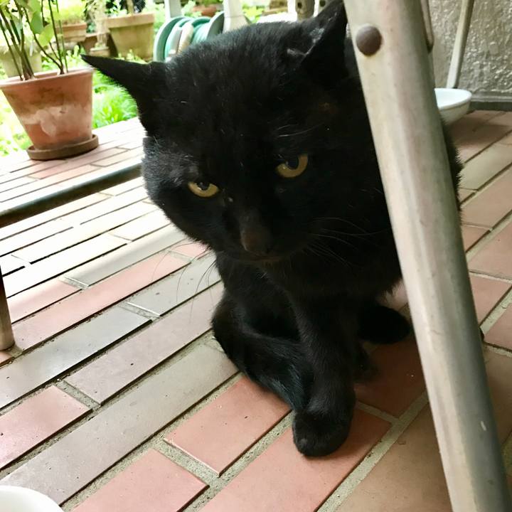 058c0f43 308f 4318 903c 68df3fceeca0