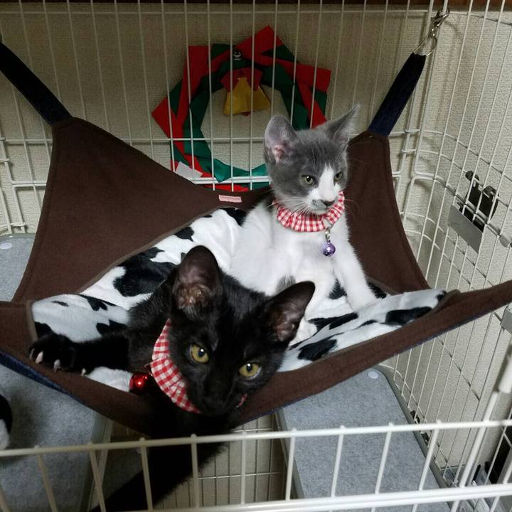 058cec70 e9d3 46e4 a481 15fd0e70e681