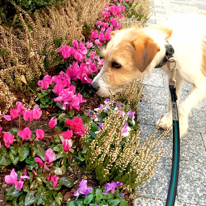 058e3236 f9eb 48cf bb93 307114fe43cc