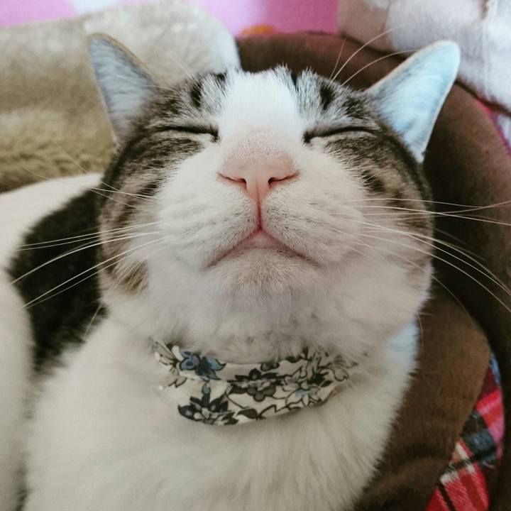 058e7a45 c37b 4ca5 a81c 37036b422d81