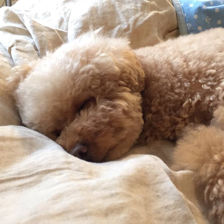 058e7daf 2a06 4bfa 80dd cecaefbd0dba