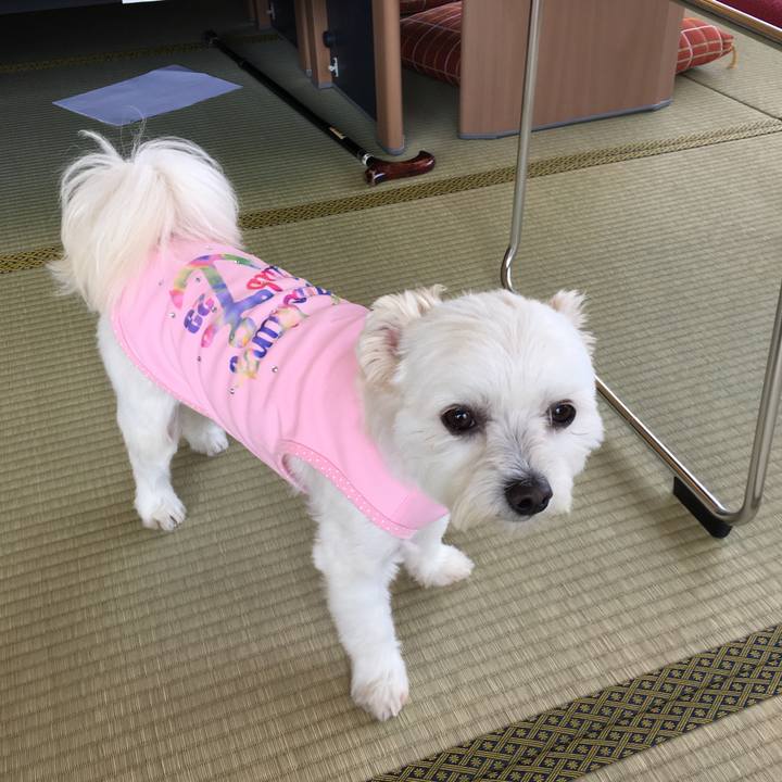 058eacff 3488 4d0f 8c45 68d4cfacda2a