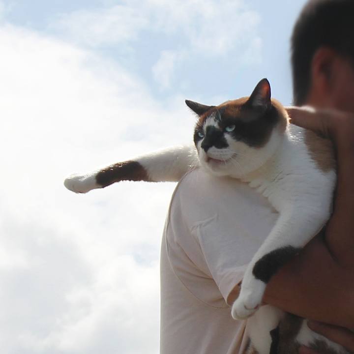 058f2f09 8fb3 46f0 ac64 a6132d55ea1e