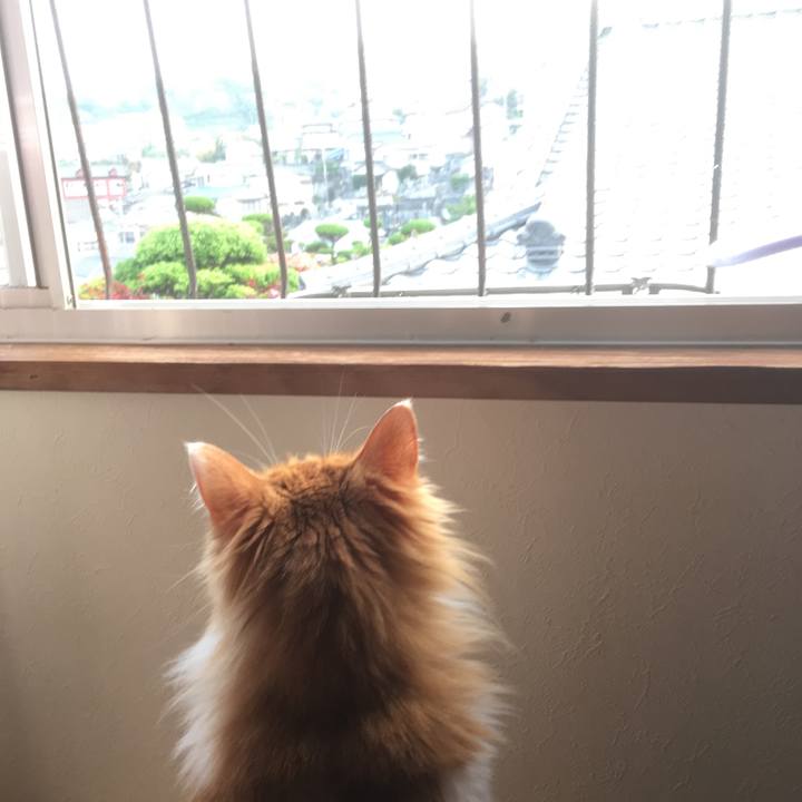 058fe4b2 d7ee 45a4 9764 f87f92e4549f