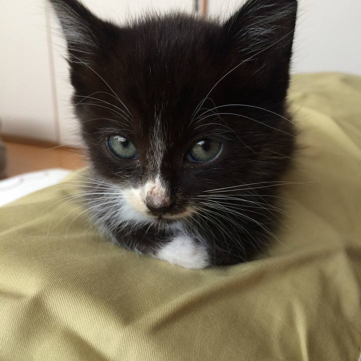 05900128 8b32 4235 abc2 7af217048af5