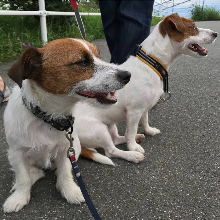 05906e22 76a6 4ed6 911d 3a78a5f81ef1