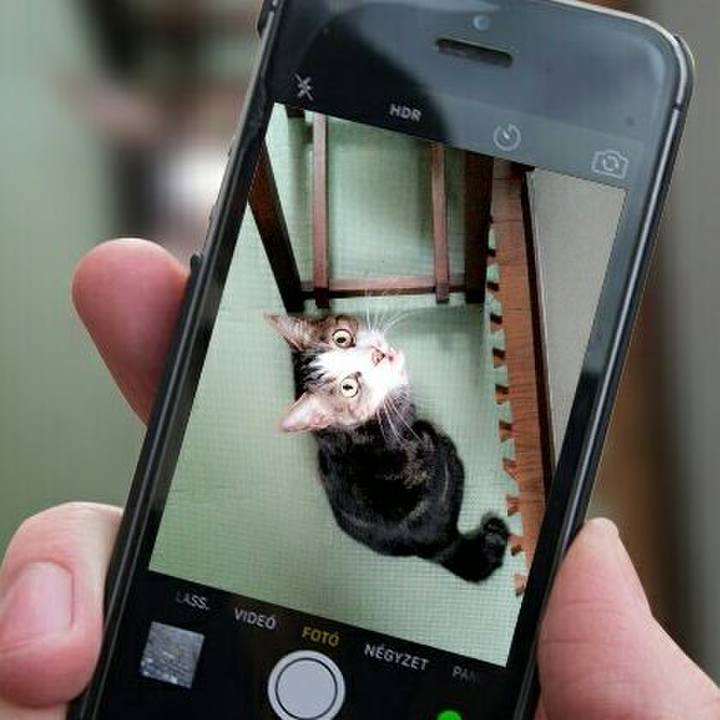 05909963 ae70 4eb3 8cfb 95d9aa445e7a