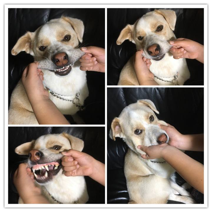 0590de92 d131 4b10 91ed 1473b9639b56