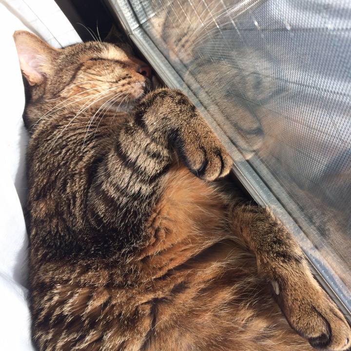 05912eaf 927d 435c 90f4 e04d7d63fc61