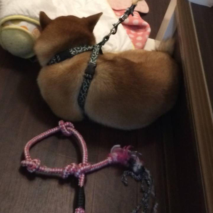 05918b05 0193 4503 bfa2 290ac6d68c58