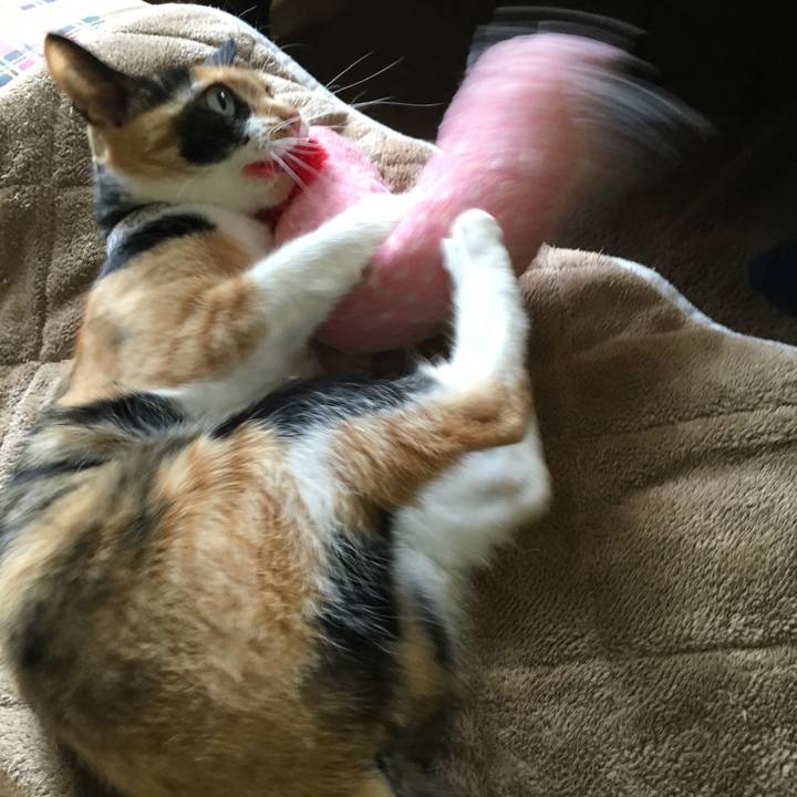 0591ca15 1c47 4173 85ae 96c638fc7406