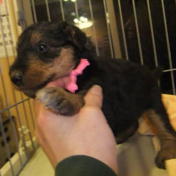 05926b8a 8ab5 41c3 85b1 0af765e5b466