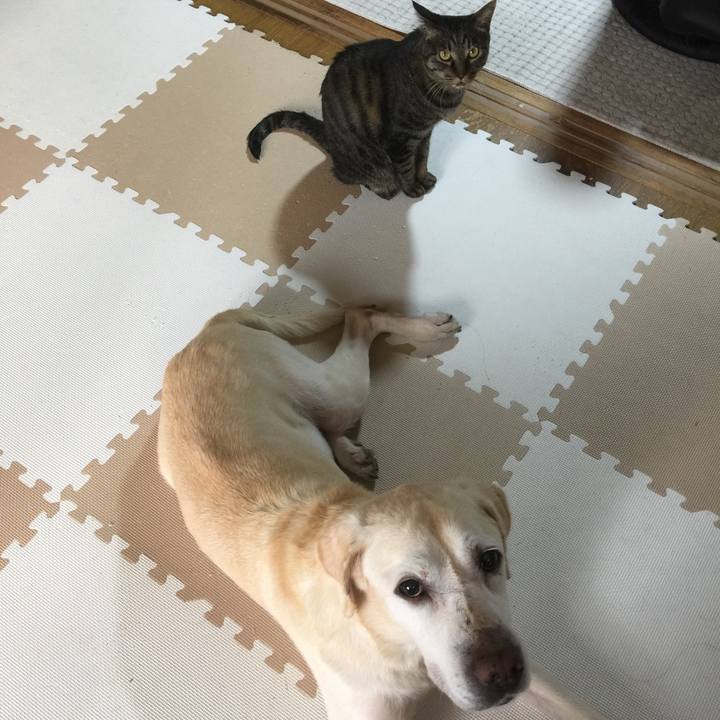 0592a1e2 743f 4c31 9bca 3248fb053f6d