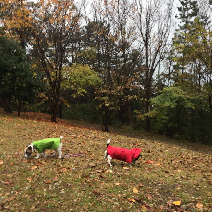 05936b9f ed82 4f0f ac74 8c4558981a91