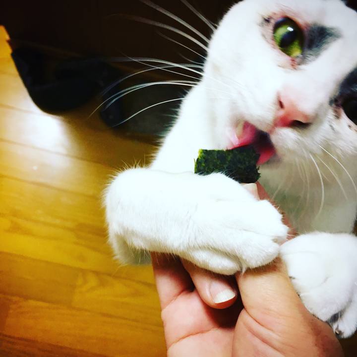 05939662 95c3 40c3 87eb b5d2b3c44372