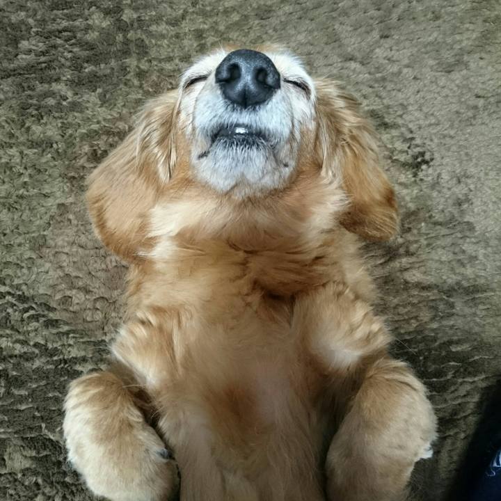 0593e9ca 8fa1 4b4b 8493 2da32a82fd85