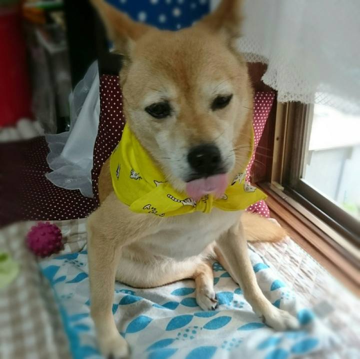 05947c3e fbd5 46f8 a72a 1f1fe1778c52