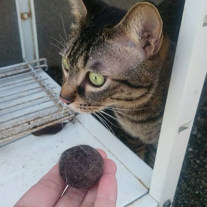 05951986 3c2b 4a59 a120 08a63f6a3273