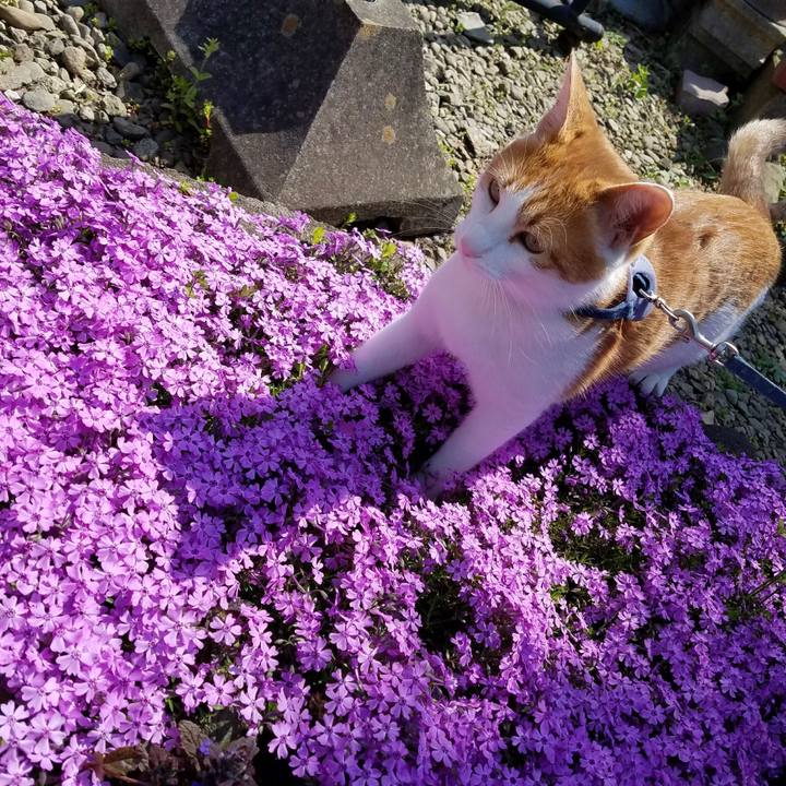 05955f58 9694 4437 94cd 40414540b66e