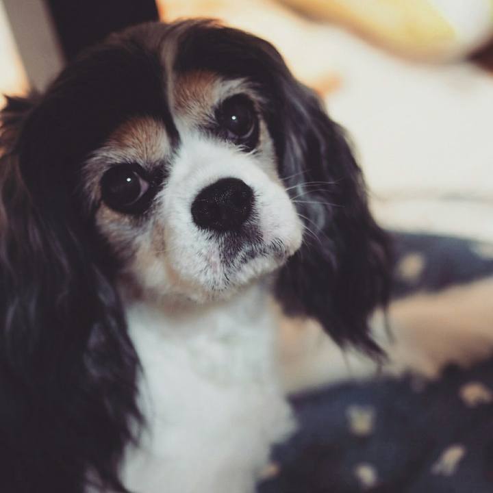 059581ce 69a3 49c1 95eb c44f666cecf3