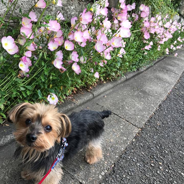 059590b4 7000 442b 875c cf38524d5a8a