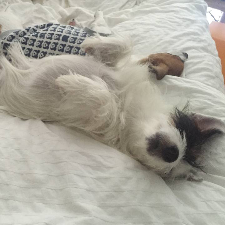 0595aeab 67e0 49c8 90fc 699012f619c8