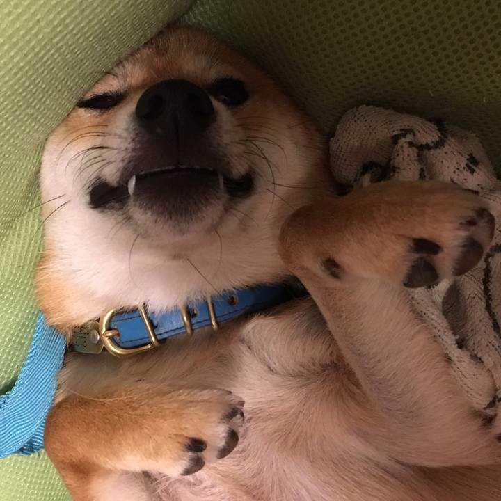 0595f696 c3c8 439c a75b 71d2fedc377b