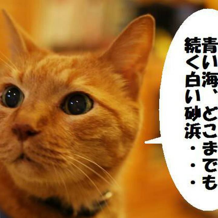 05960ef1 ce1c 47ff be41 076f55ae162c