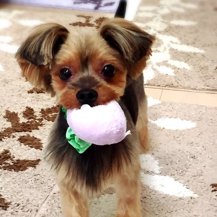 059630f7 2922 42ea a5ff b1d9942b4d1c