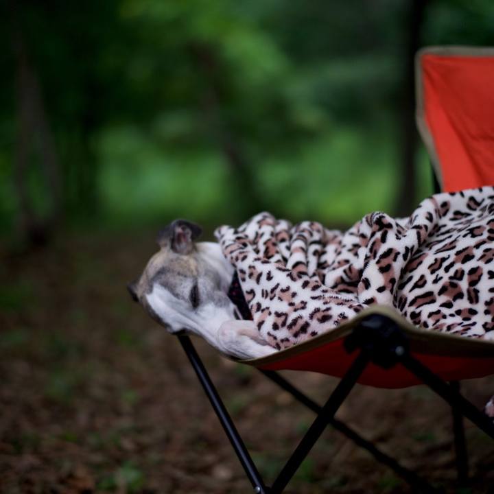 05969a32 bf91 402c b1d9 317b28c78a76