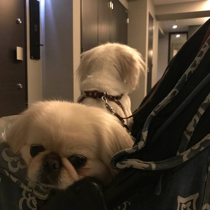 0596c5ac e499 4133 98a2 2d4c305677bb