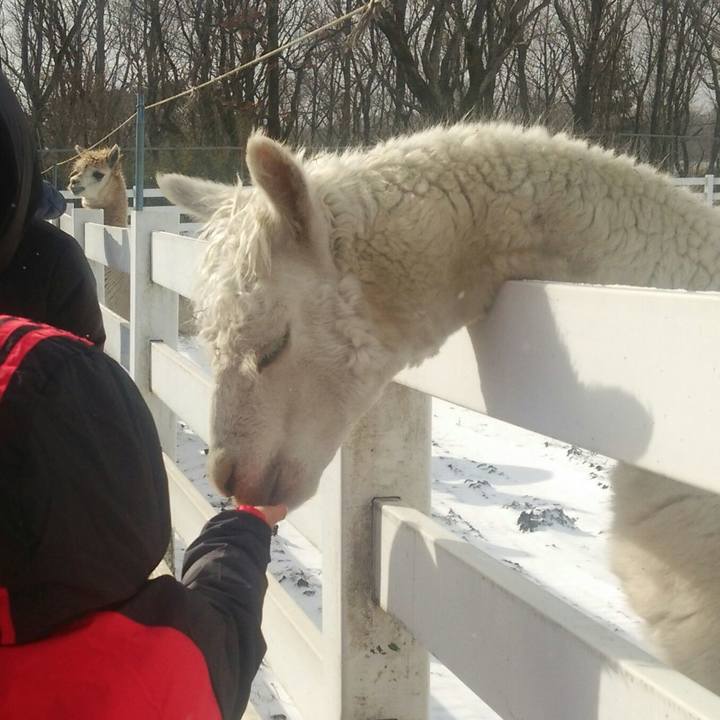 0596e70f b2e7 4317 b777 c7e4bccf722e