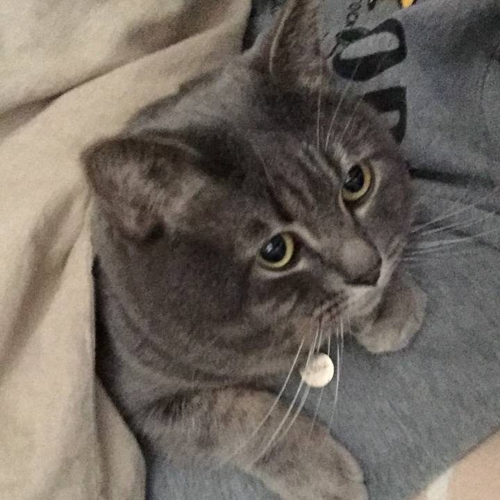 05972233 567f 4520 b633 ec2f3a7f921b