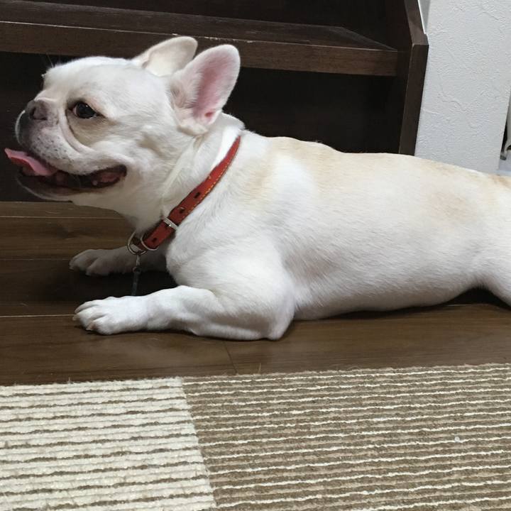 059745d9 a818 4874 8c7c 2960c00c7f83