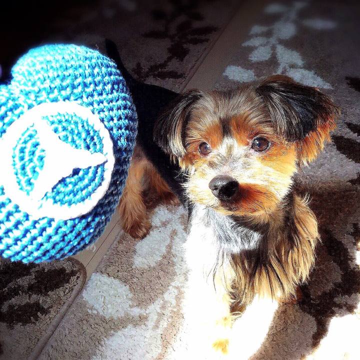 05979d22 e521 4a89 bfcd 0c48d70bac76