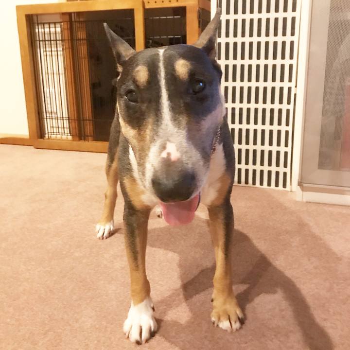 059821f1 d893 46b4 ab1a aa18f5f65d2d