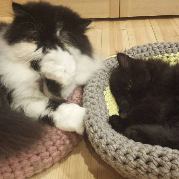 059850a1 810f 4f9f 91f6 ecc047bcc3cb