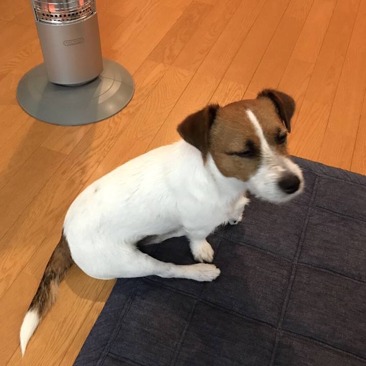 059861be 9e7d 4901 bc63 089864aa86a4