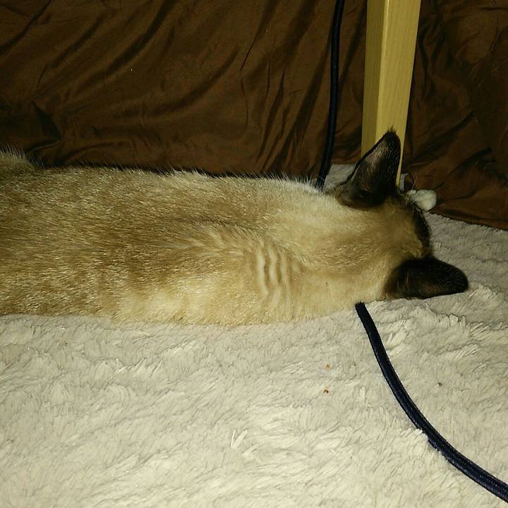 0598ccf5 303b 4651 986a 63d901c7b9ba