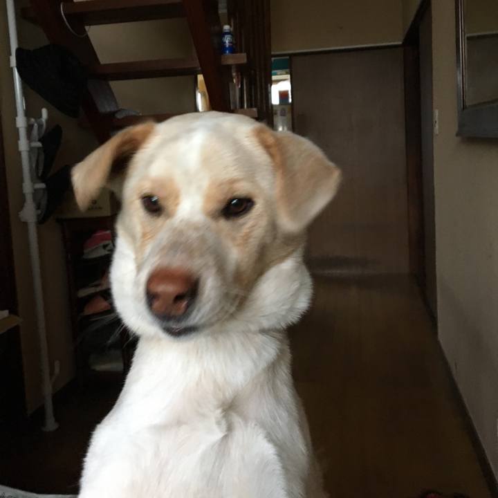 05998bd6 6779 4b89 9a20 27ae50b2e9a9