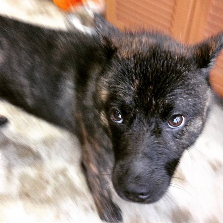 059a6cb4 3411 4034 978b 90f40c5c3ed9