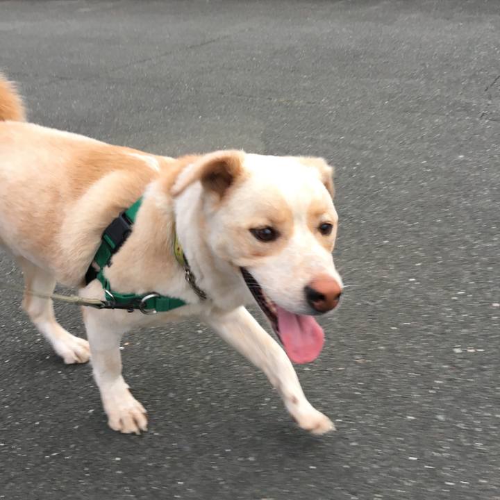 059a98b7 7a6c 4f83 97db 50d231773ea8